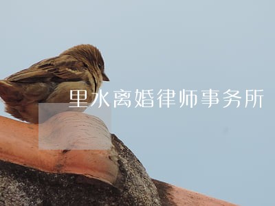 里水离婚律师事务所