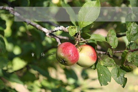 重伤二级到法院了 重伤二级到法院了
