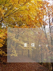 重信app借款逾期 重信app借款逾期