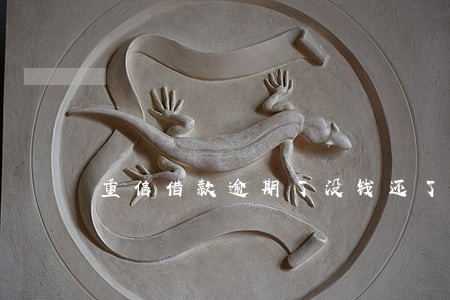 重信借款逾期了没钱还了怎么办 重信借款逾期了没钱还了怎么办
