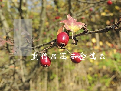 重信只还本金过去 重信只还本金过去