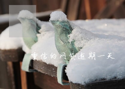 重信的网贷逾期一天 重信的网贷逾期一天