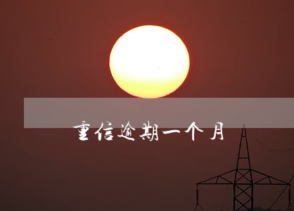 重信逾期一个月 重信逾期一个月