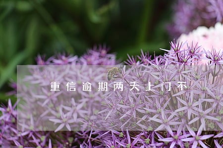 重信逾期两天上门不