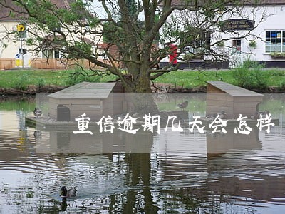重信逾期几天会怎样 重信逾期几天会怎样