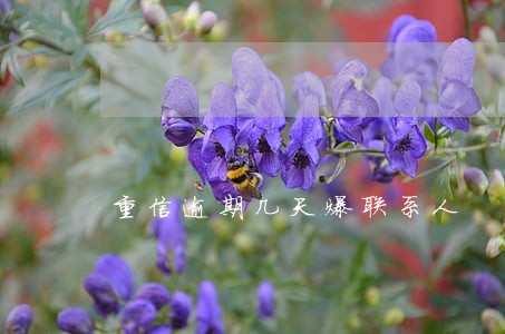 重信逾期几天爆联系人