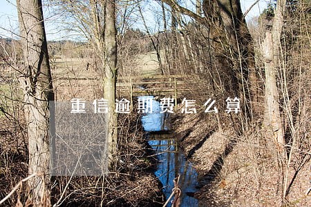 重信逾期费怎么算 重信逾期费怎么算