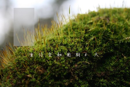 重信金融逾期4天