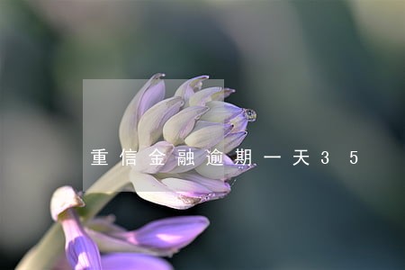 重信金融逾期一天35 重信金融逾期一天35