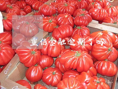 重信金融逾期了吗