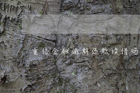 重信金融逾期还能续借吗 重信金融逾期还能续借吗