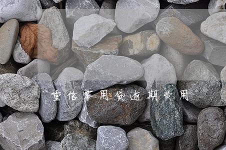 重信零用贷逾期费用 重信零用贷逾期费用