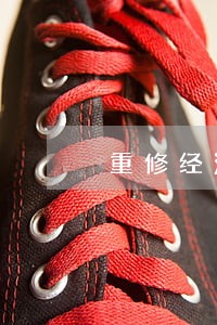 重修经济法计划书