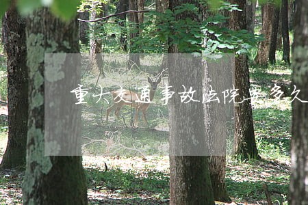 重大交通事故法院要多久才能结案 重大交通事故法院要多久才能结案