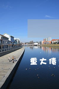 重大债务律师费用 重大债务律师费用