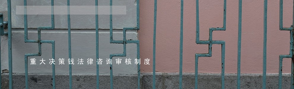 重大决策钱法律咨询审核制度 重大决策钱法律咨询审核制度