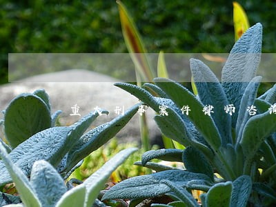 重大刑事案件律师咨询满意服务 重大刑事案件律师咨询满意服务