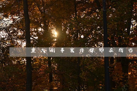 重大刑事案件律师在线咨询 重大刑事案件律师在线咨询