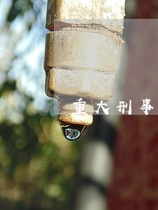 重大刑事案件律师有哪些 重大刑事案件律师有哪些