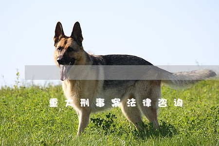 重大刑事案法律咨询 重大刑事案法律咨询