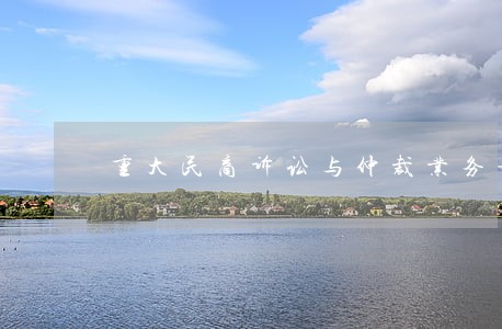重大民商诉讼与仲裁业务部