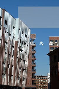 重大疾病导致信用卡逾期 重大疾病导致信用卡逾期