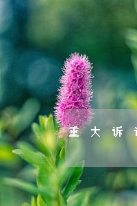 重大诉讼事项公告 重大诉讼事项公告