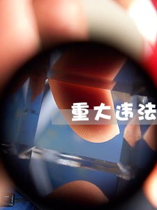 重大违法案件挂牌督办制度 重大违法案件挂牌督办制度