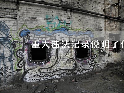 重大违法记录说明了什么 重大违法记录说明了什么