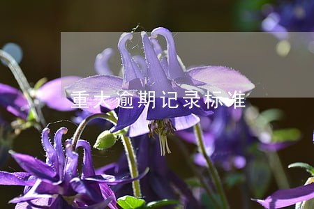 重大逾期记录标准 重大逾期记录标准