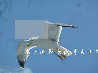 重大逾期负法律责任吗 重大逾期负法律责任吗