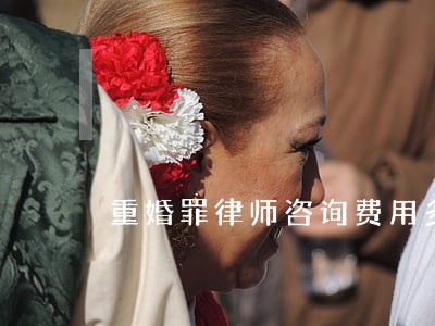 重婚罪律师咨询费用多少 重婚罪律师咨询费用多少