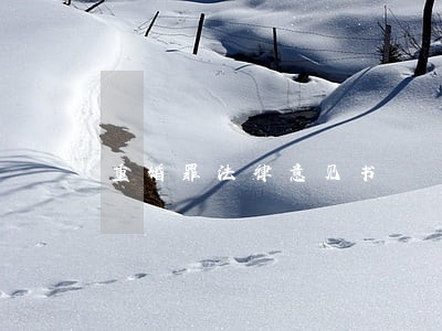 重婚罪法律意见书