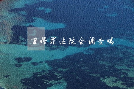重婚罪法院会调查吗