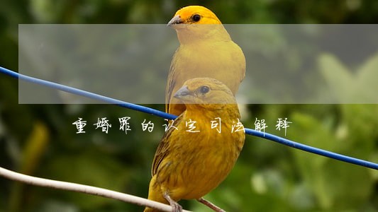 重婚罪的认定司法解释 重婚罪的认定司法解释