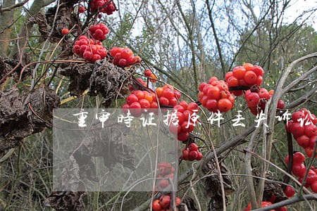 重审时证据原件丢失诉讼能赢吗 重审时证据原件丢失诉讼能赢吗
