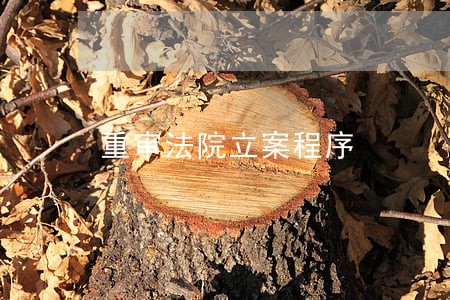 重审法院立案程序 重审法院立案程序