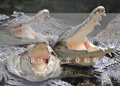 重庆7家企业被曝税收违法 重庆7家企业被曝税收违法