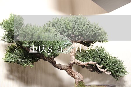 重庆sazdex法律调查 重庆sazdex法律调查