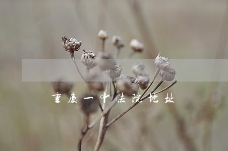 重庆一中法院地址 重庆一中法院地址