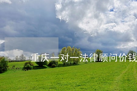 重庆一对一法律顾问价钱 重庆一对一法律顾问价钱