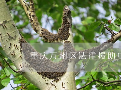 重庆万州区法律援助中心 重庆万州区法律援助中心