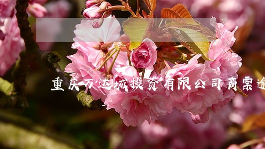 重庆万达城投资有限公司商票逾期 重庆万达城投资有限公司商票逾期