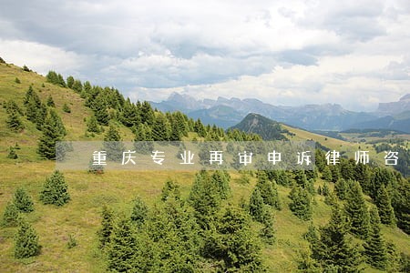 重庆专业再审申诉律师咨询平台 重庆专业再审申诉律师咨询平台