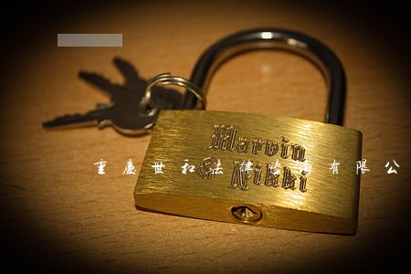 重庆世和法律咨询有限公司 重庆世和法律咨询有限公司