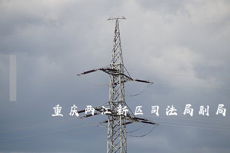 重庆两江新区司法局副局长