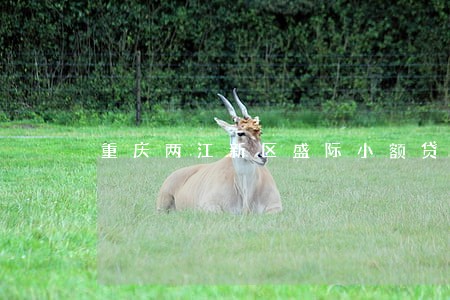 重庆两江新区盛际小额贷逾期一天 重庆两江新区盛际小额贷逾期一天