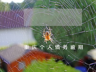 重庆个人债务逾期 重庆个人债务逾期