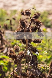 重庆个人法律顾问价格表 重庆个人法律顾问价格表