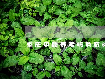 重庆中颐养老服务有限公司法人 重庆中颐养老服务有限公司法人